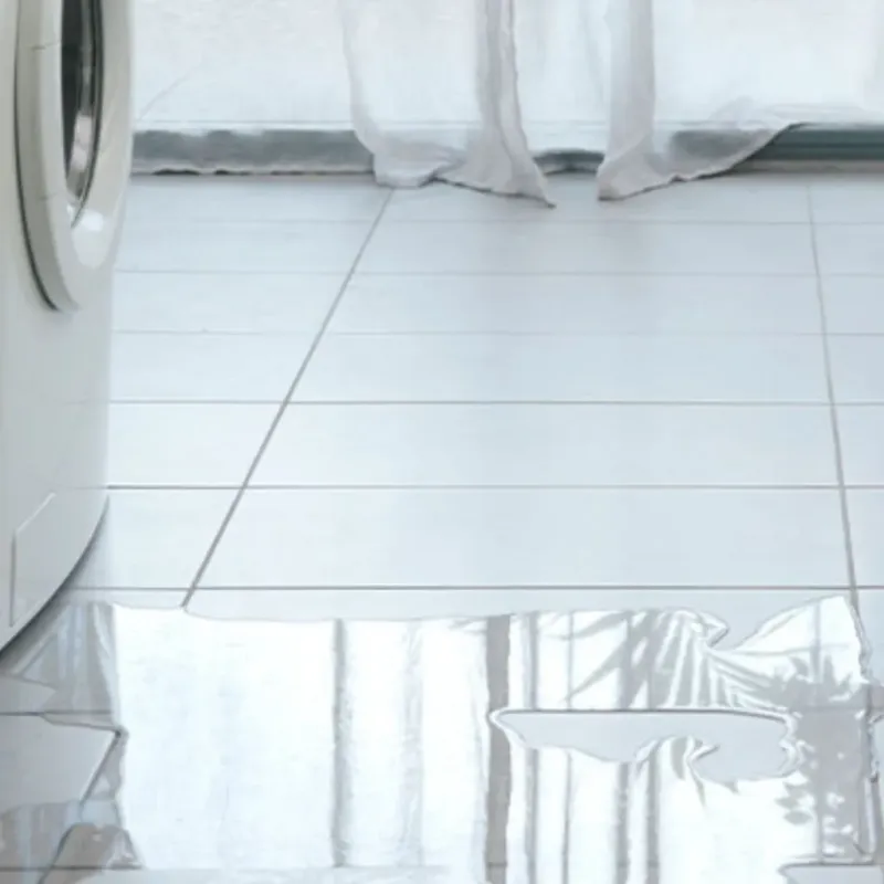 Appliance Leak Cleanup in Monroe County, FL