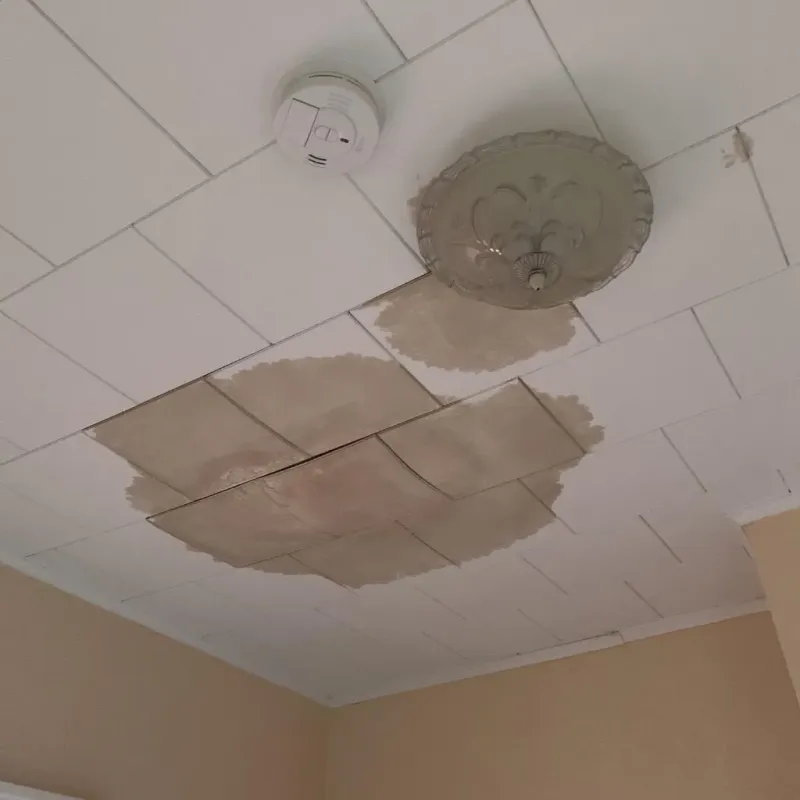 Ceiling Water Damage Repair in Monroe County, FL